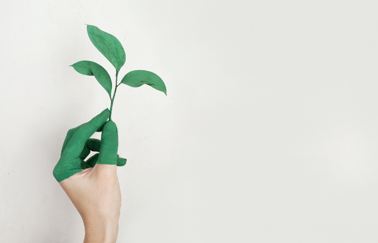 10 Eco Friendly Products to Include in your Daily Routines