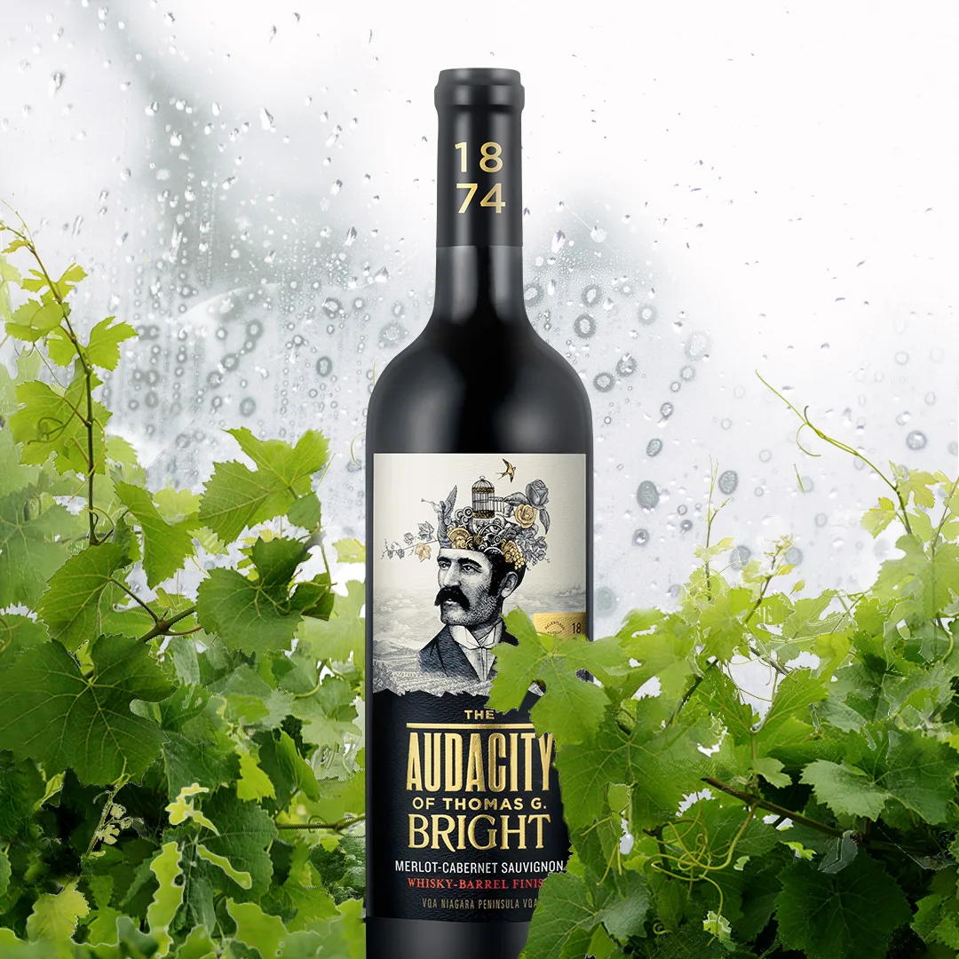 Arterra Wines Pay Homage to the Pioneer of Niagara Wine