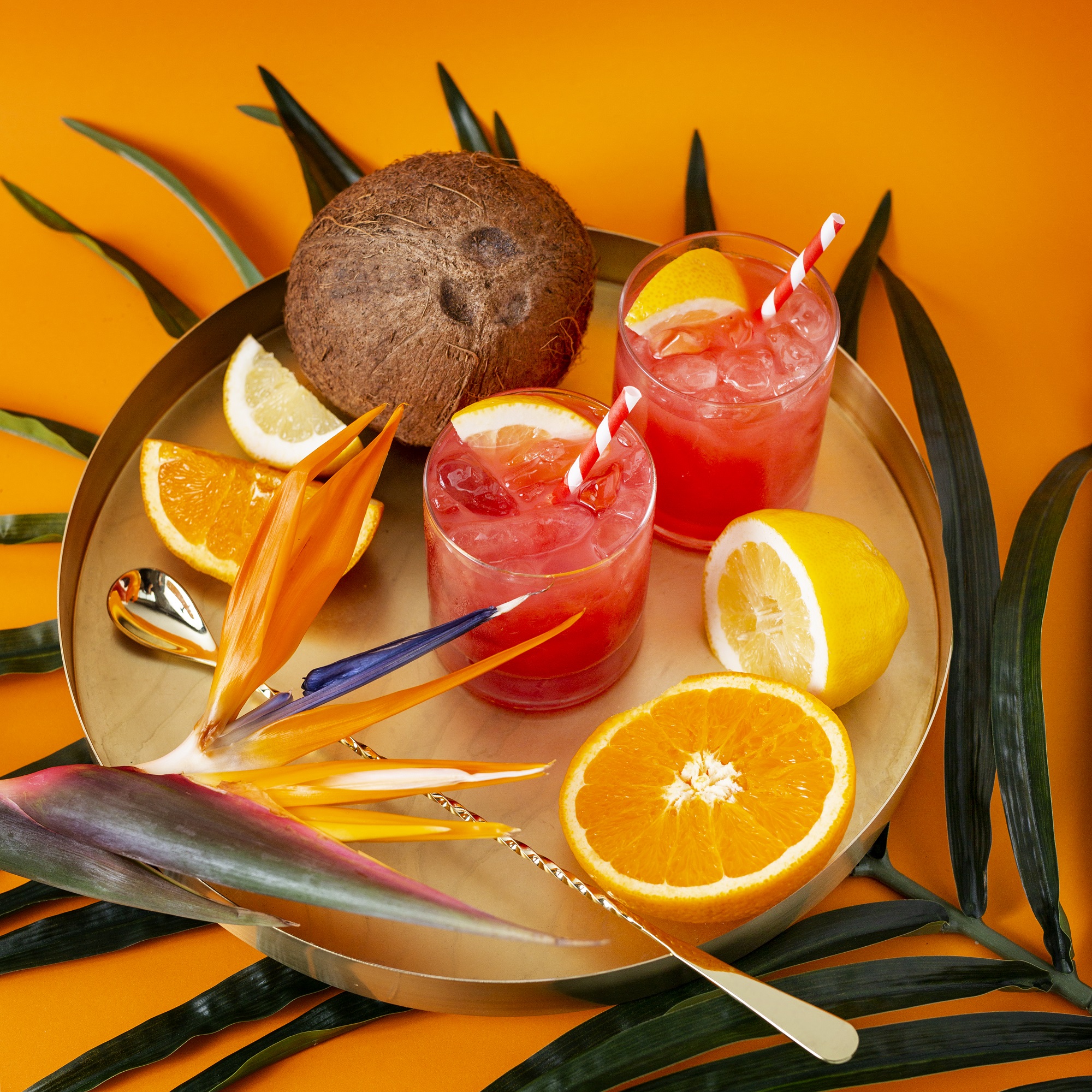 Bacardi's El Coco is a Tropical Getaway In a Glass