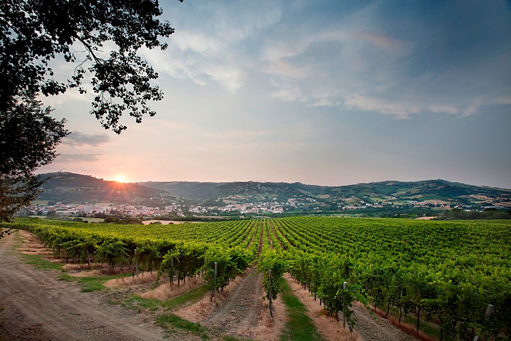 Bertani Wines Marries Innovation with Verona’s Rich Cultural History