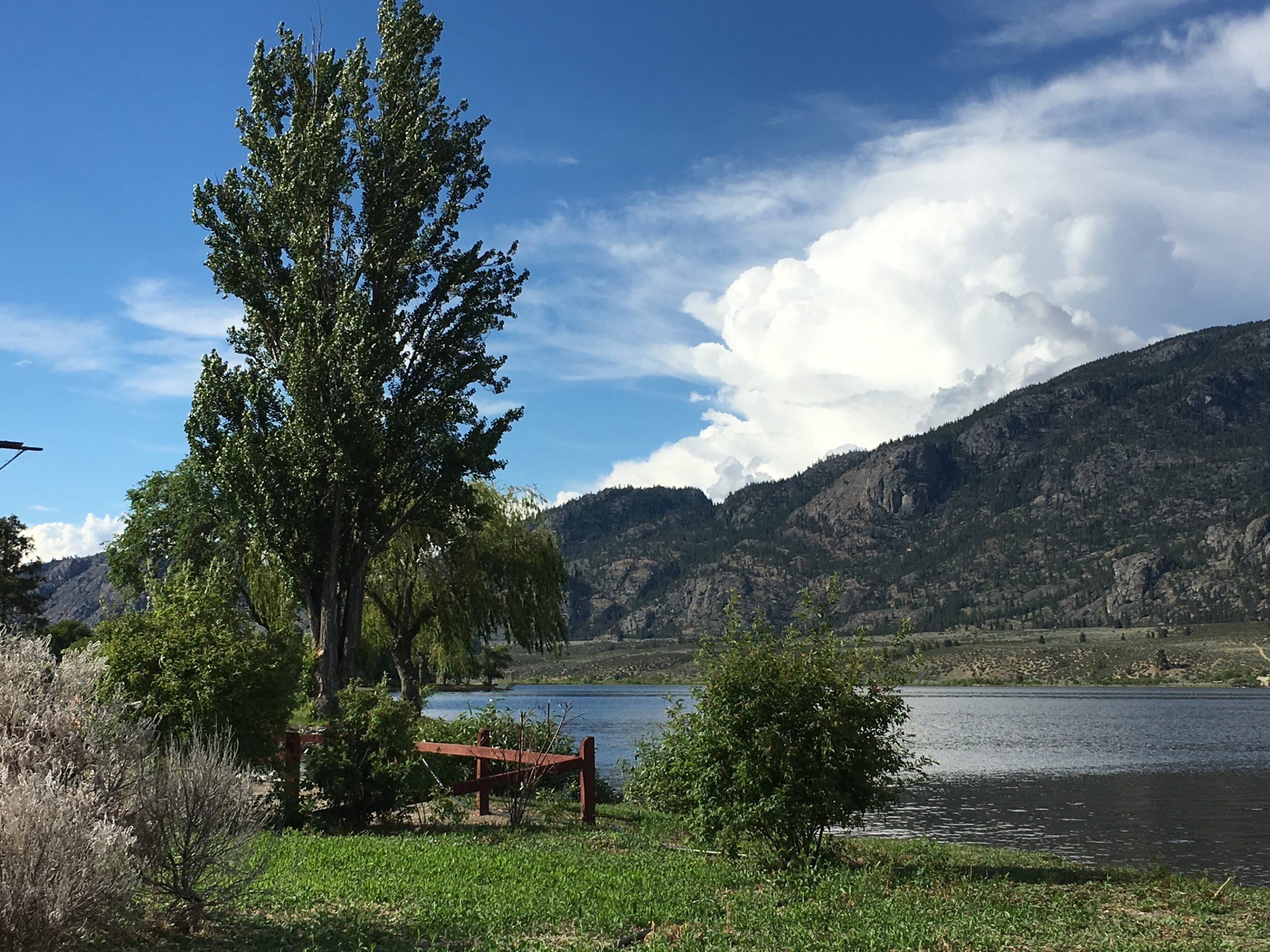 Sipping Wine in the Okanagan