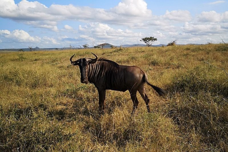 This story was shot on a smartphone