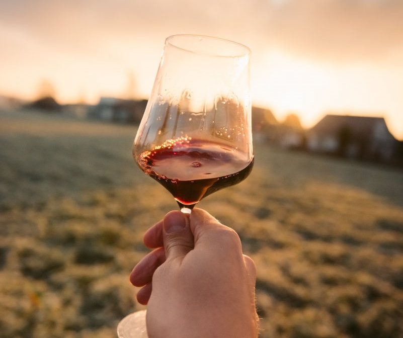 Editor’s Pick: Up Your Wine Game with WineOnline.ca