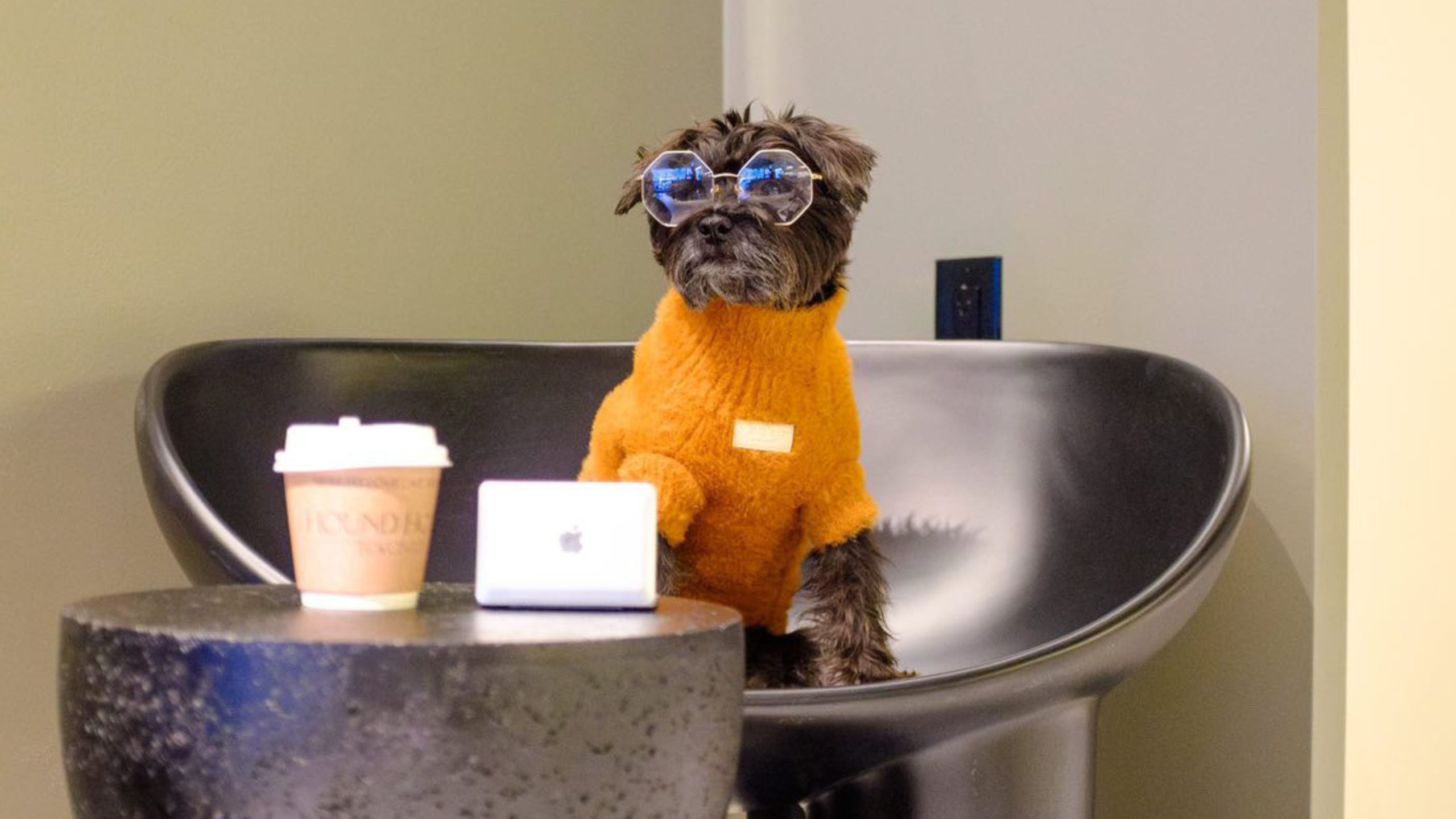 Is Toronto's Hound House the Soho House for Dogs?