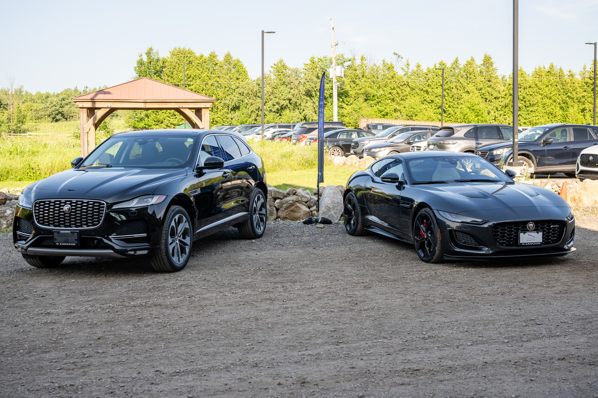 Glory Jaguar Vine Dine 17