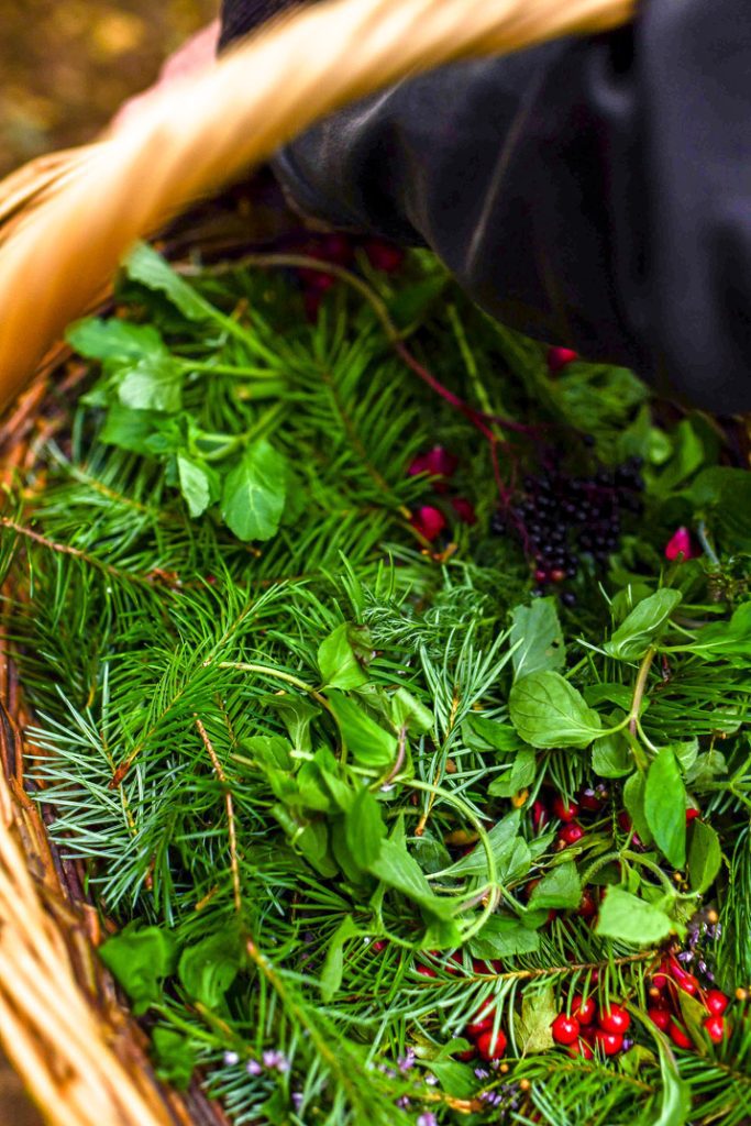 Wicker basket holding a variety of different plants
