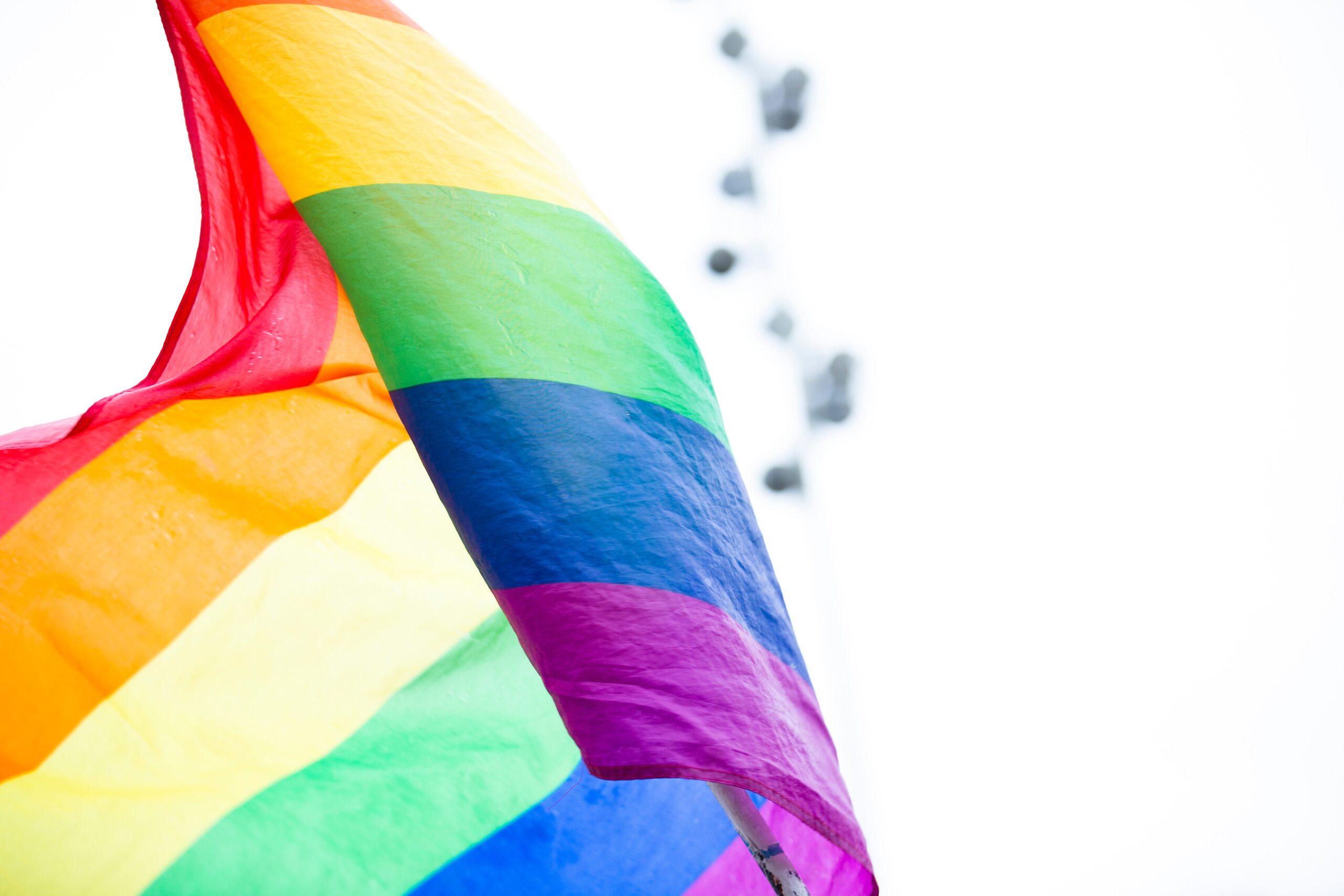 LGBTQ+ Entrepreneurs and Organizations That You Should Follow