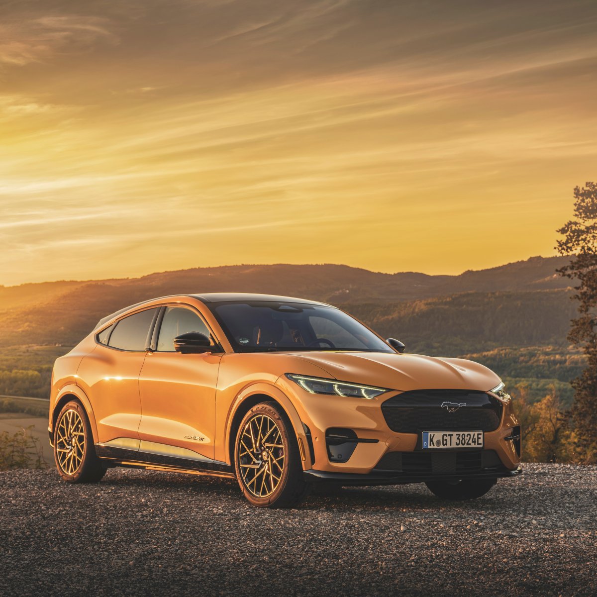 The Auto Philes: The Future According to Ford