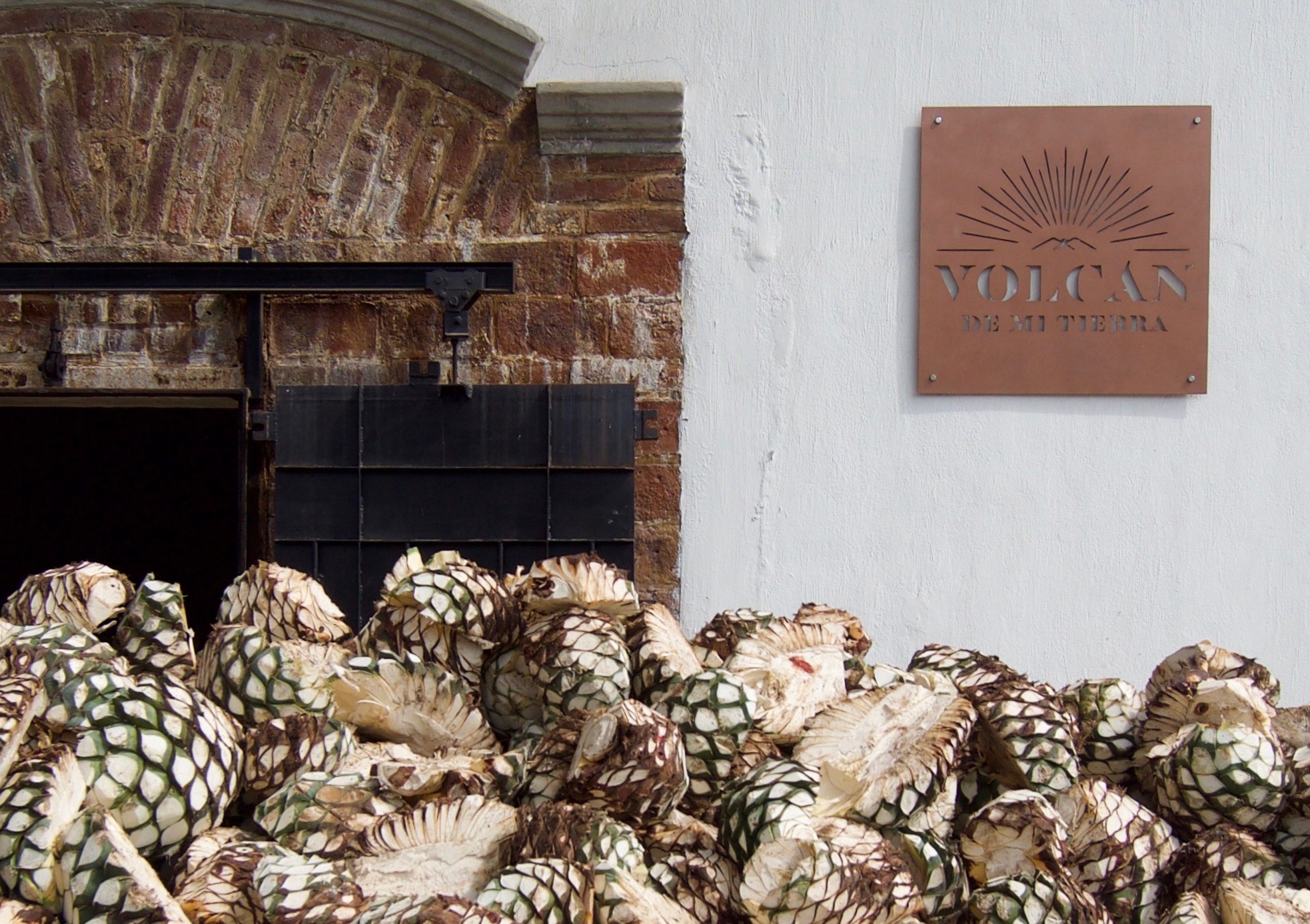 The story behind Volcàn de mi Terra, LVMH's first tequila brand