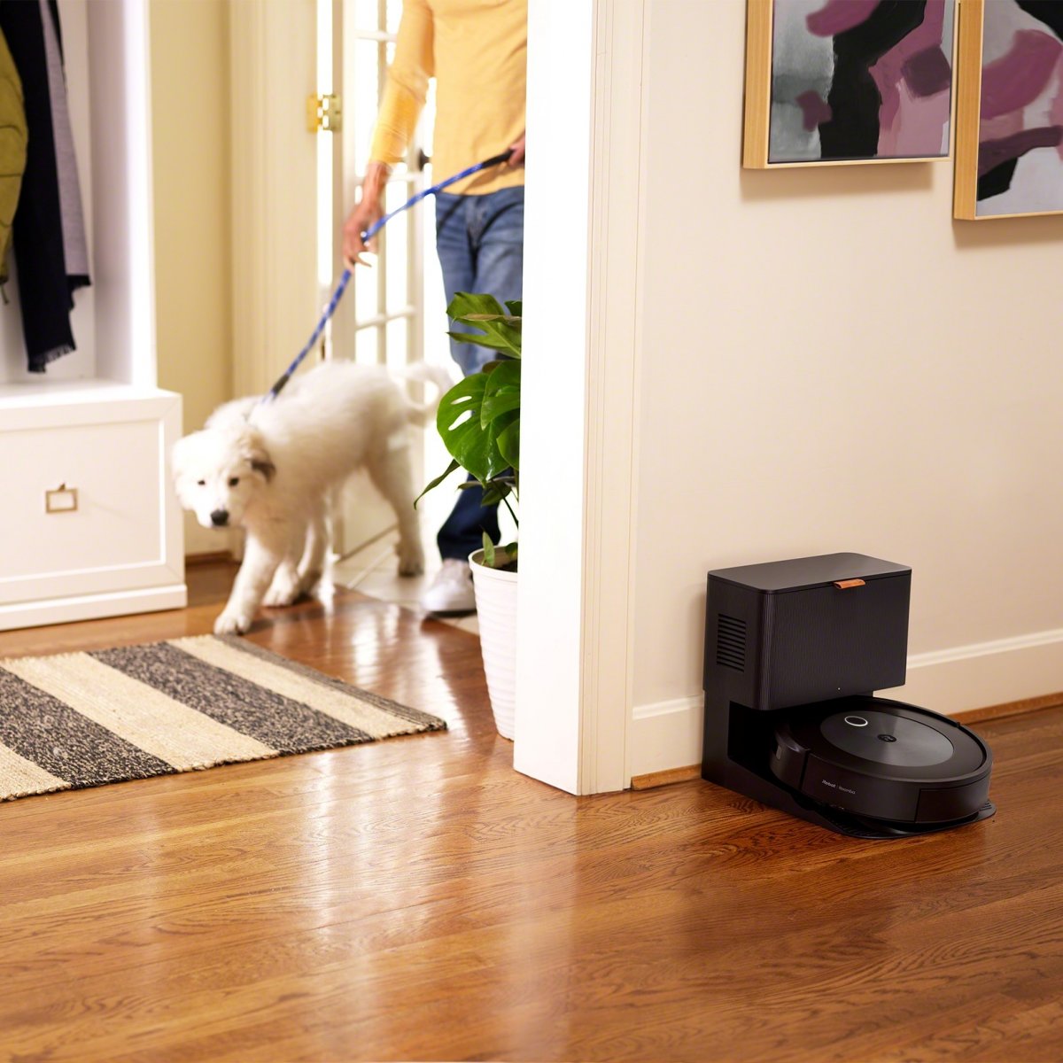 How to Transform Your Work From Home Space with iRobot